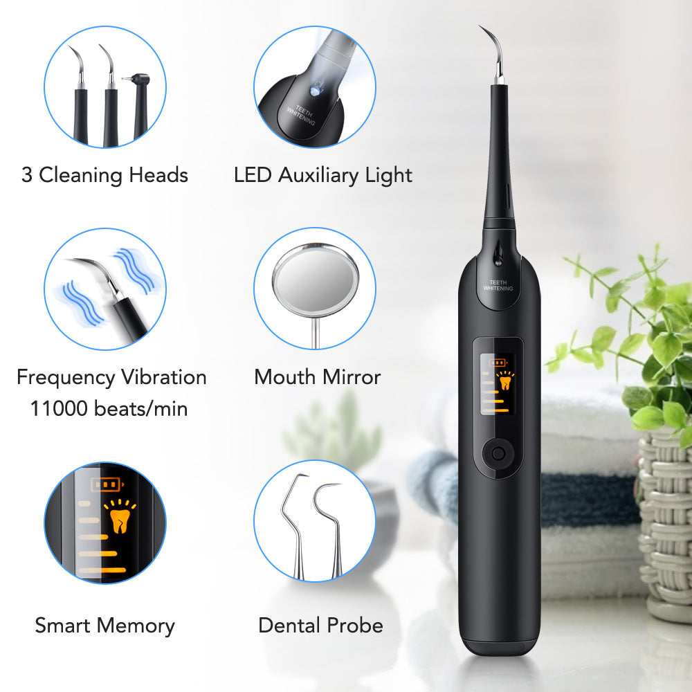 Electric Dental Care Kit